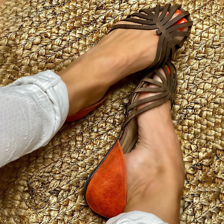 Orange / 12