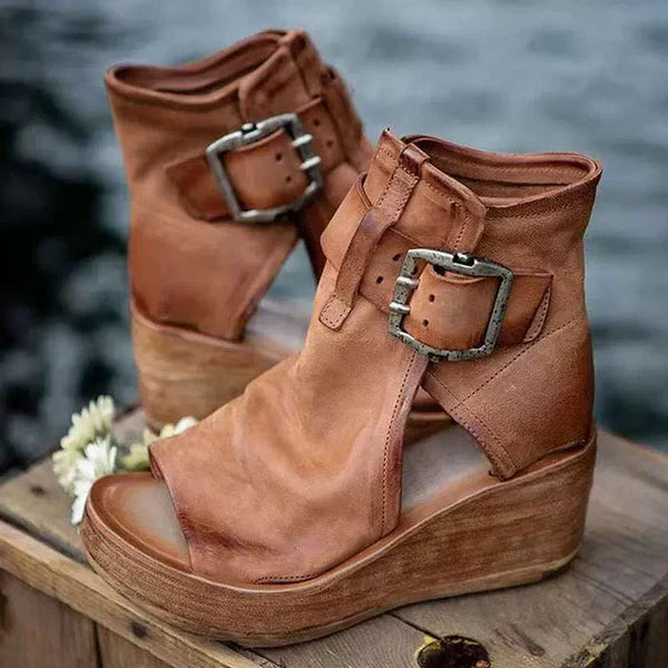 Brown / 12