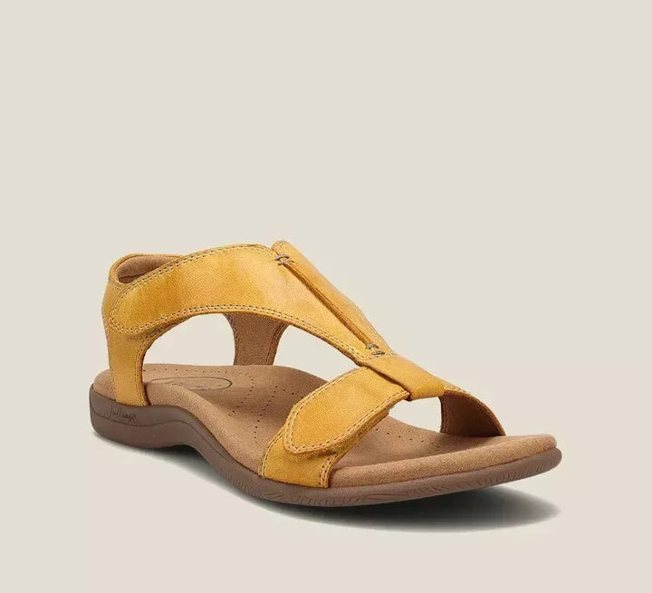 Yellow / 11.5