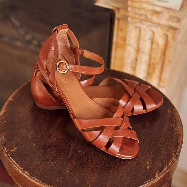 Brown / 11